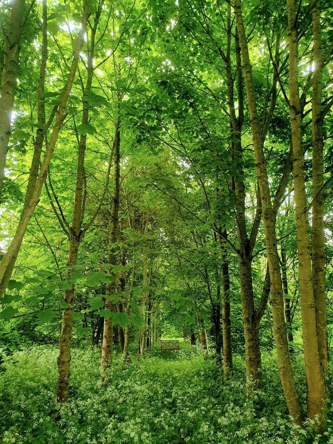 Finest Retreats - Blackbarn Wood Balsham エクステリア 写真